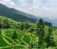 堂安梯田